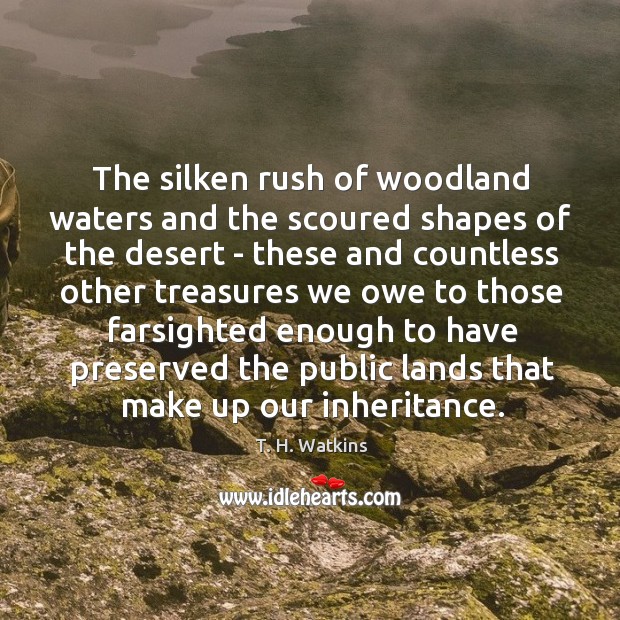 The silken rush of woodland waters and the scoured shapes of the Image