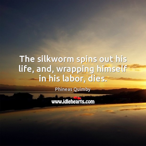 The silkworm spins out his life, and, wrapping himself in his labor, dies. Phineas Quimby Picture Quote