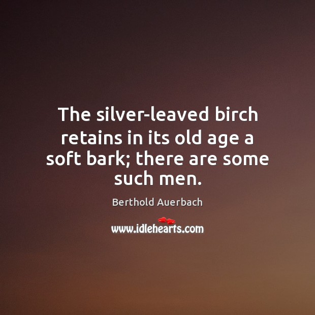 The silver-leaved birch retains in its old age a soft bark; there are some such men. Berthold Auerbach Picture Quote