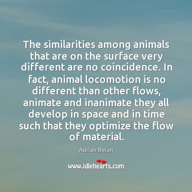 The similarities among animals that are on the surface very different are Adrian Bejan Picture Quote