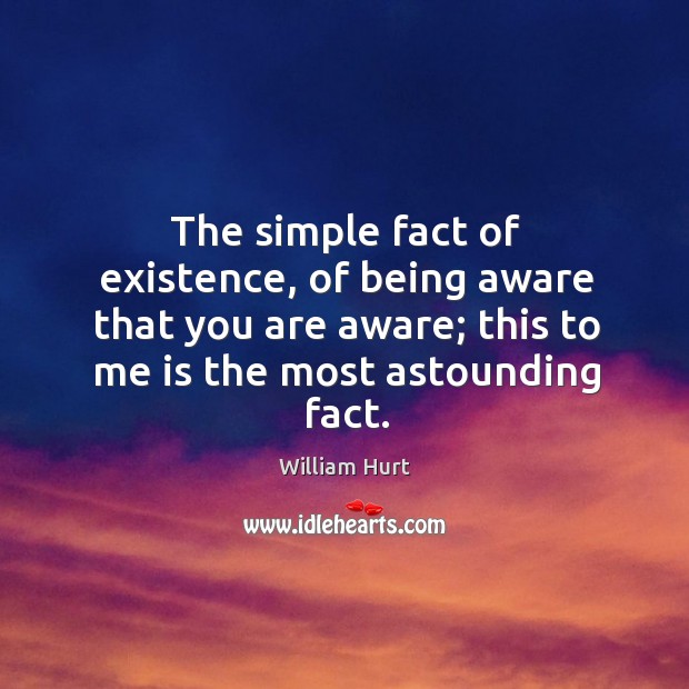 The simple fact of existence, of being aware that you are aware; this to me is the most astounding fact. Image