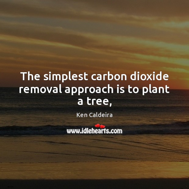 The simplest carbon dioxide removal approach is to plant a tree, 