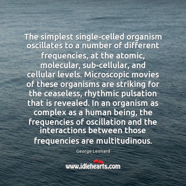The simplest single-celled organism oscillates to a number of different frequencies, at George Leonard Picture Quote