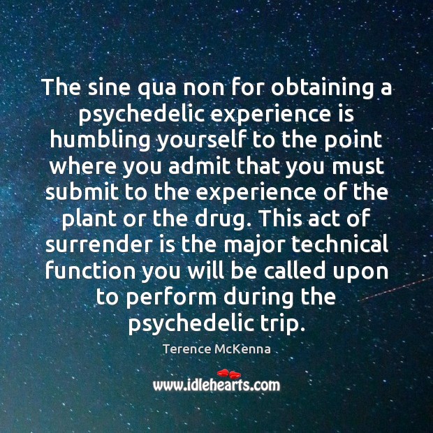 The sine qua non for obtaining a psychedelic experience is humbling yourself Terence McKenna Picture Quote