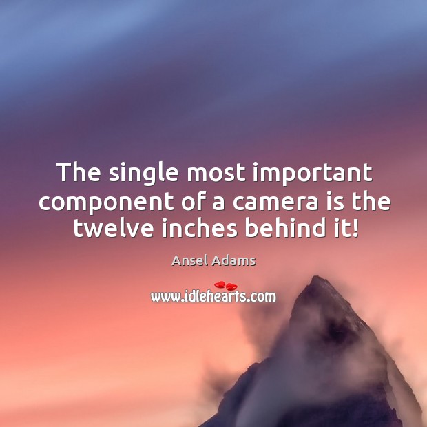 The single most important component of a camera is the twelve inches behind it! Ansel Adams Picture Quote
