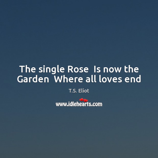 The single Rose  Is now the Garden  Where all loves end T.S. Eliot Picture Quote