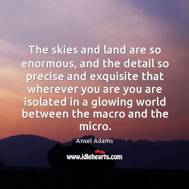 The skies and land are so enormous, and the detail so precise Ansel Adams Picture Quote