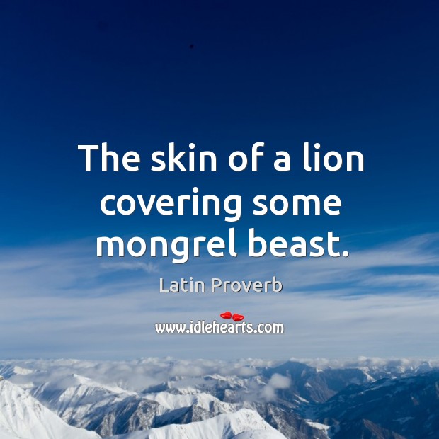The skin of a lion covering some mongrel beast. Latin Proverbs Image