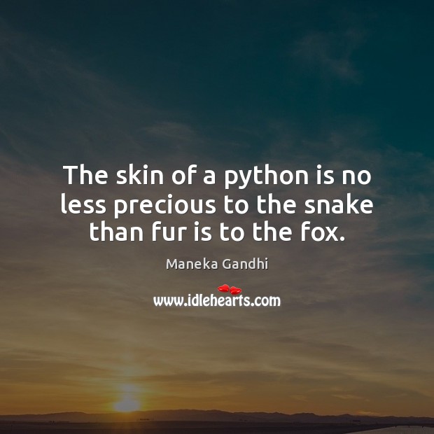 The skin of a python is no less precious to the snake than fur is to the fox. Maneka Gandhi Picture Quote