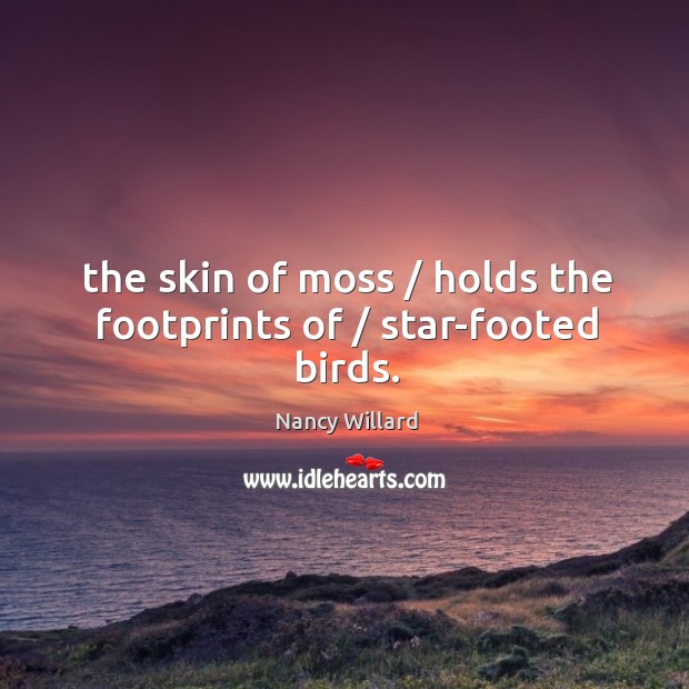 The skin of moss / holds the footprints of / star-footed birds. Nancy Willard Picture Quote