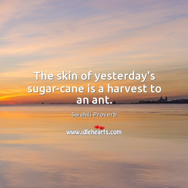 The skin of yesterday’s sugar-cane is a harvest to an ant. Swahili Proverbs Image
