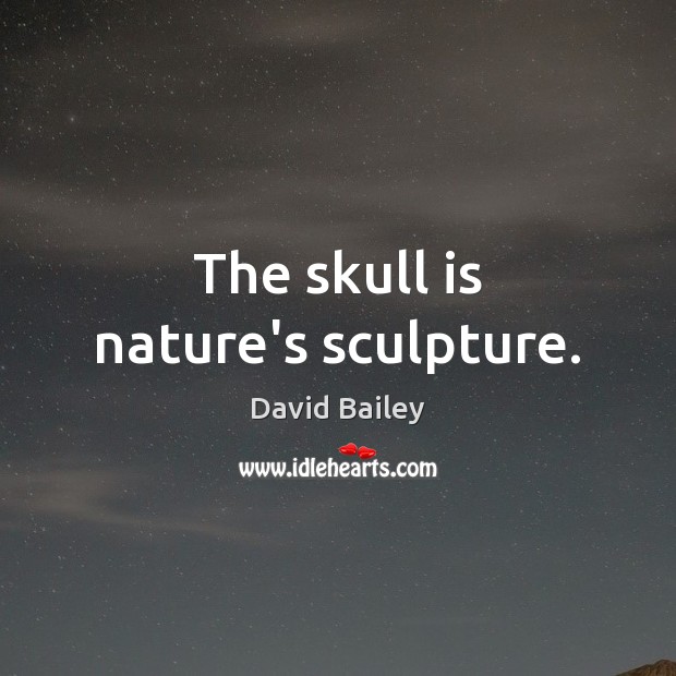 The skull is nature’s sculpture. David Bailey Picture Quote
