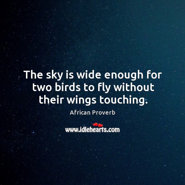 The sky is wide enough for two birds to fly without their wings touching. Image