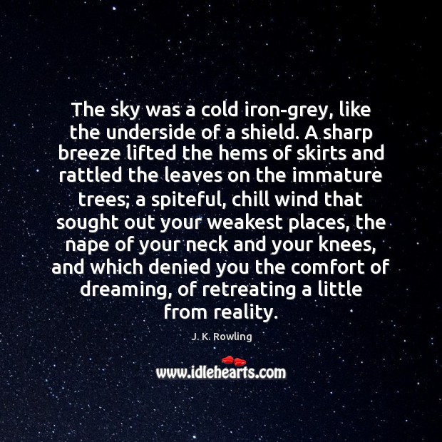 The sky was a cold iron-grey, like the underside of a shield. J. K. Rowling Picture Quote