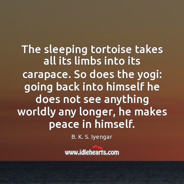 The sleeping tortoise takes all its limbs into its carapace. So does B. K. S. Iyengar Picture Quote