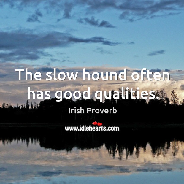 The slow hound often has good qualities. Irish Proverbs Image