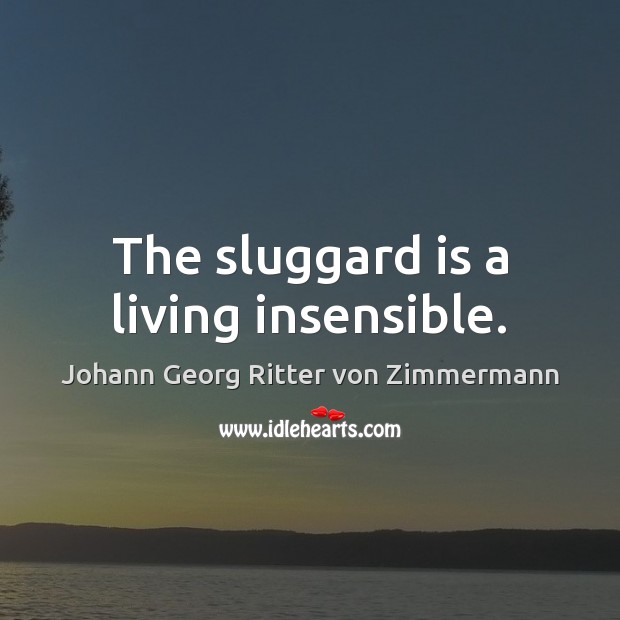 The sluggard is a living insensible. Johann Georg Ritter von Zimmermann Picture Quote