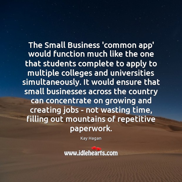 The Small Business ‘common app’ would function much like the one that Kay Hagan Picture Quote
