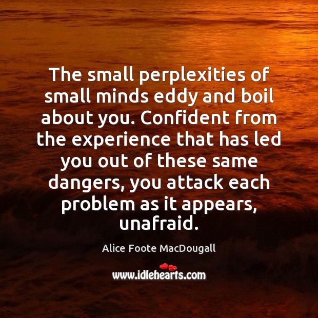 The small perplexities of small minds eddy and boil about you. Confident Alice Foote MacDougall Picture Quote