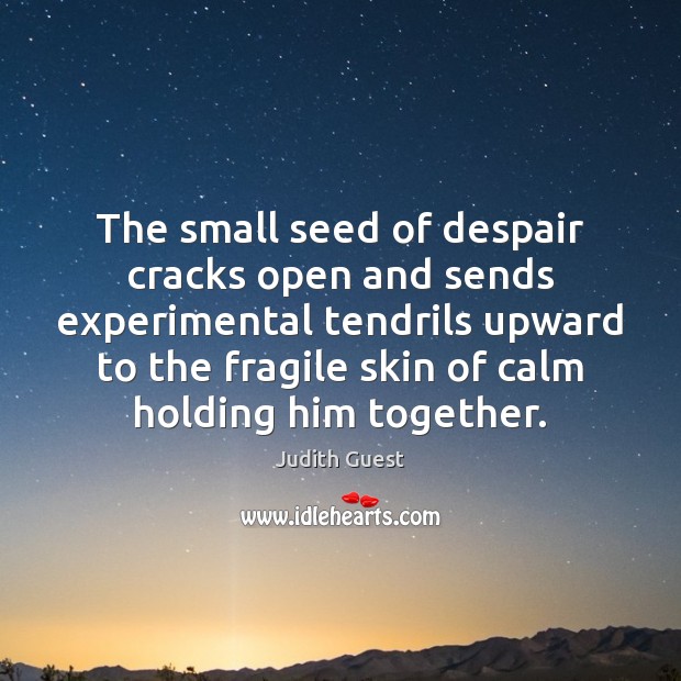 The small seed of despair cracks open and sends experimental tendrils upward Image