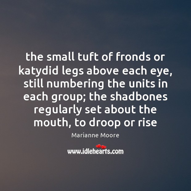 The small tuft of fronds or katydid legs above each eye, still Marianne Moore Picture Quote