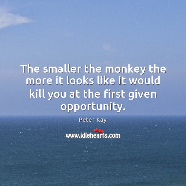 The smaller the monkey the more it looks like it would kill Peter Kay Picture Quote