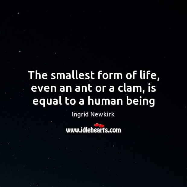 The smallest form of life, even an ant or a clam, is equal to a human being Ingrid Newkirk Picture Quote