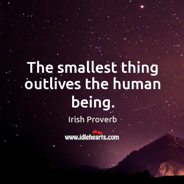 The smallest thing outlives the human being. Irish Proverbs Image