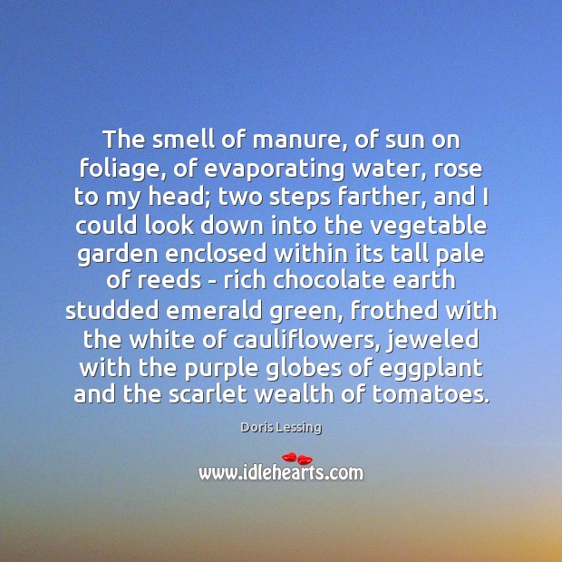 The smell of manure, of sun on foliage, of evaporating water, rose 