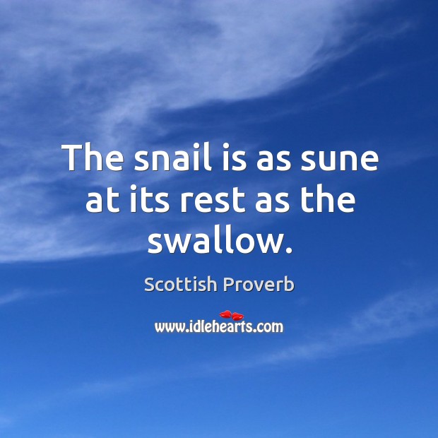 The snail is as sune at its rest as the swallow. Scottish Proverbs Image