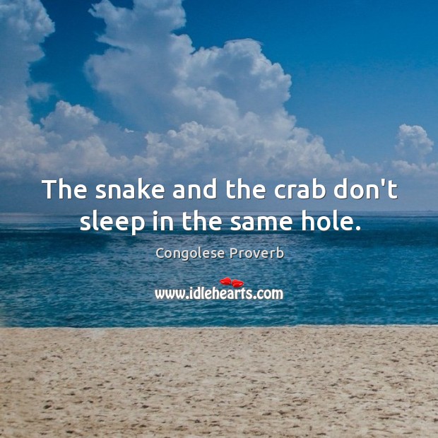 The snake and the crab don’t sleep in the same hole. Congolese Proverbs Image