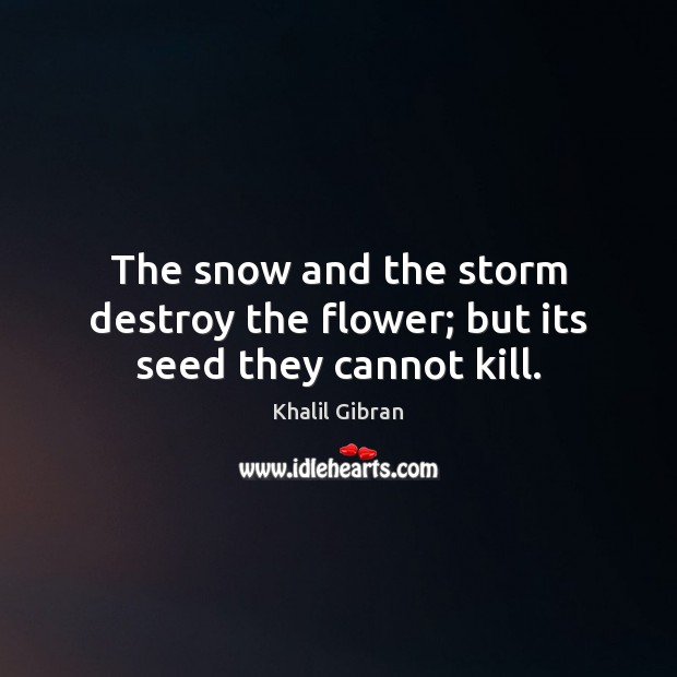 The snow and the storm destroy the flower; but its seed they cannot kill. Khalil Gibran Picture Quote