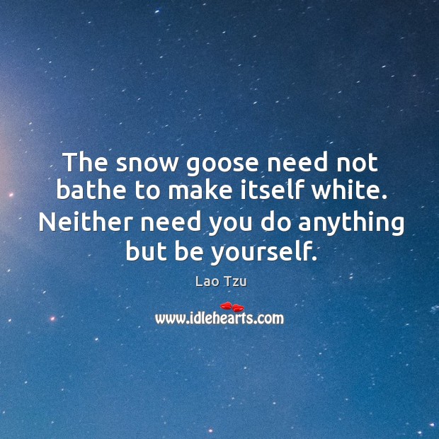 The snow goose need not bathe to make itself white. Neither need you do anything but be yourself. Be Yourself Quotes Image