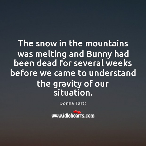 The snow in the mountains was melting and Bunny had been dead Donna Tartt Picture Quote