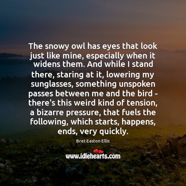 The snowy owl has eyes that look just like mine, especially when Bret Easton Ellis Picture Quote