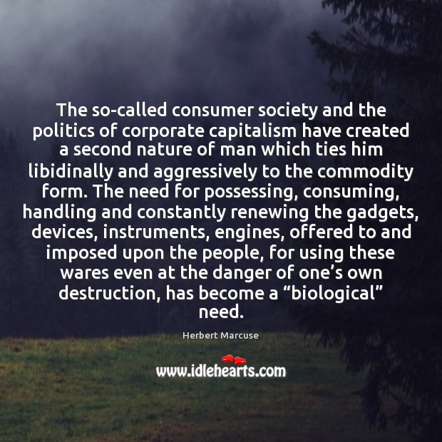 The so-called consumer society and the politics of corporate capitalism have created Image
