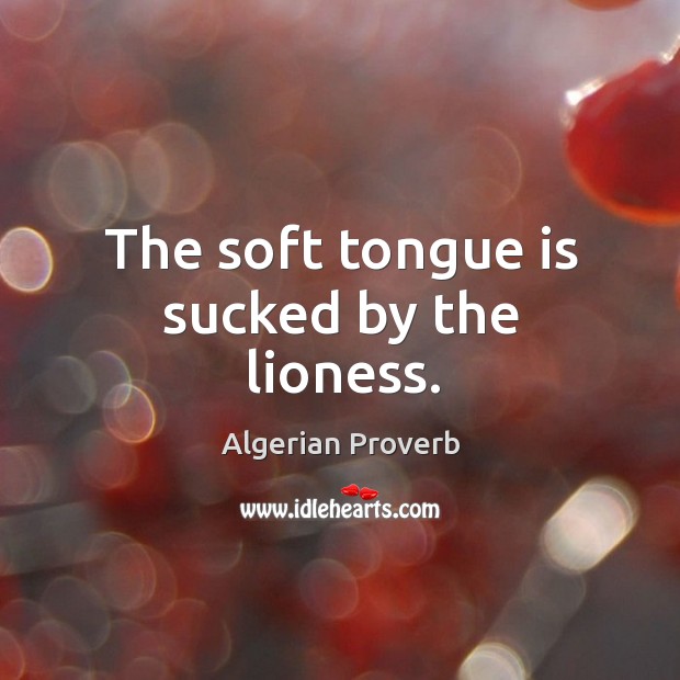 The soft tongue is sucked by the lioness. Algerian Proverbs Image