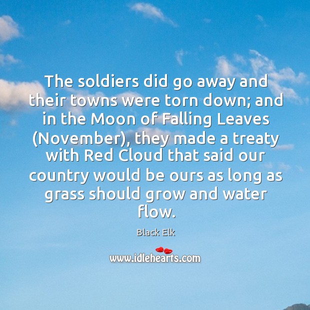 The soldiers did go away and their towns were torn down; Black Elk Picture Quote