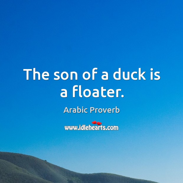 The son of a duck is a floater. Arabic Proverbs Image