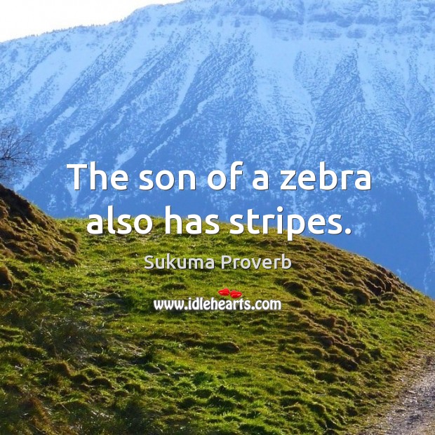 The son of a zebra also has stripes. Sukuma Proverbs Image