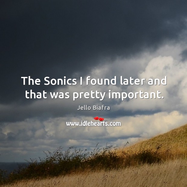 The sonics I found later and that was pretty important. Jello Biafra Picture Quote