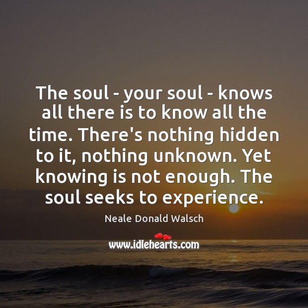 The soul – your soul – knows all there is to know Hidden Quotes Image