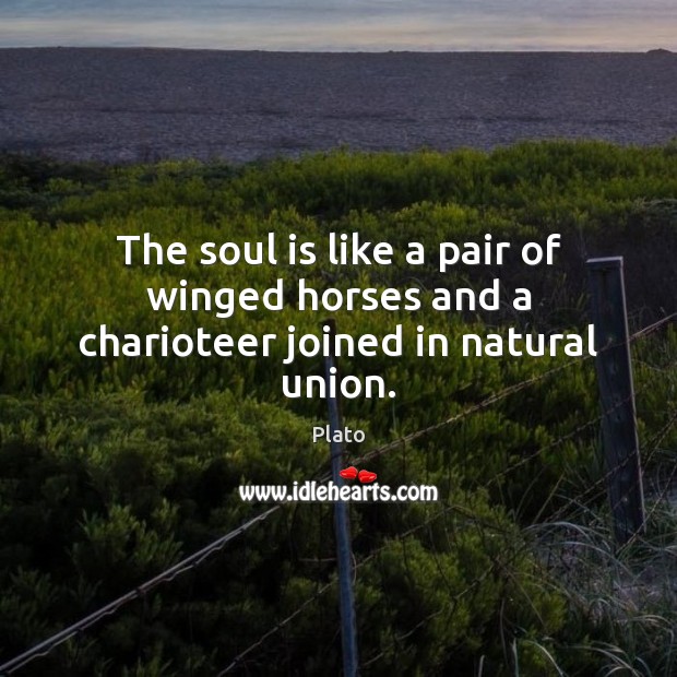 The soul is like a pair of winged horses and a charioteer joined in natural union. Plato Picture Quote