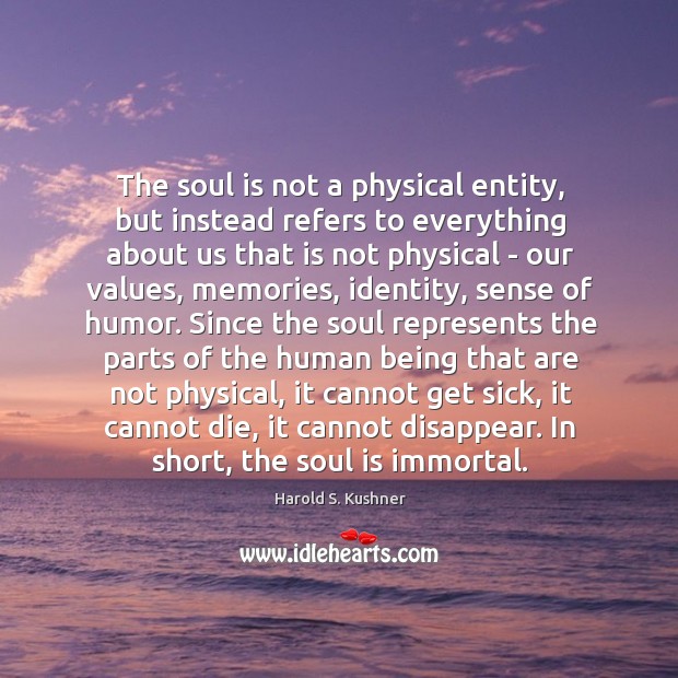 The soul is not a physical entity, but instead refers to everything Harold S. Kushner Picture Quote