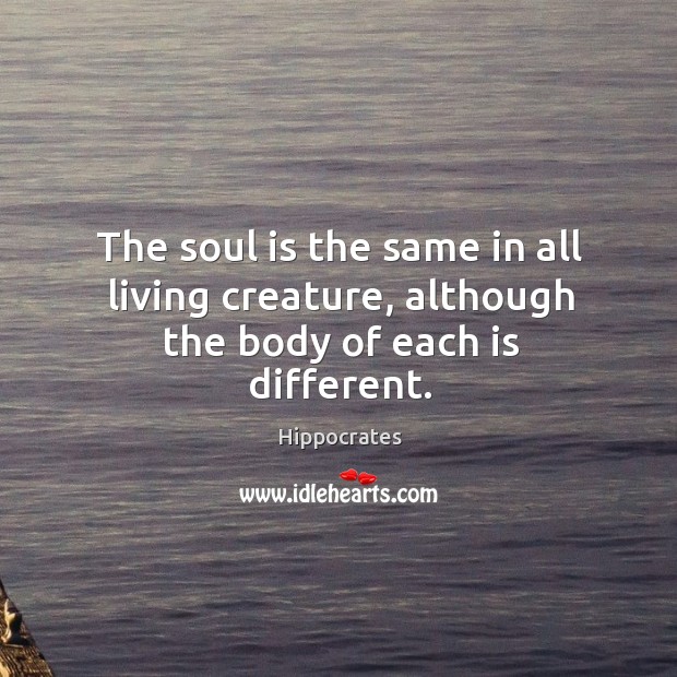 The soul is same in all living creature. Soul Quotes Image
