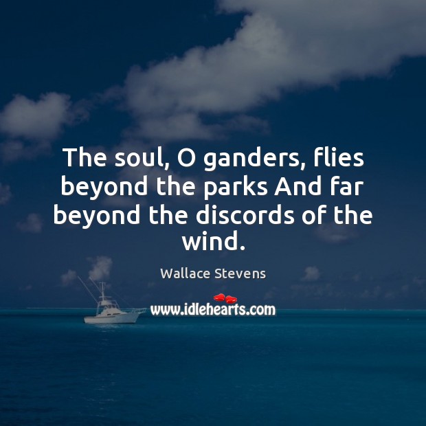 The soul, O ganders, flies beyond the parks And far beyond the discords of the wind. Wallace Stevens Picture Quote