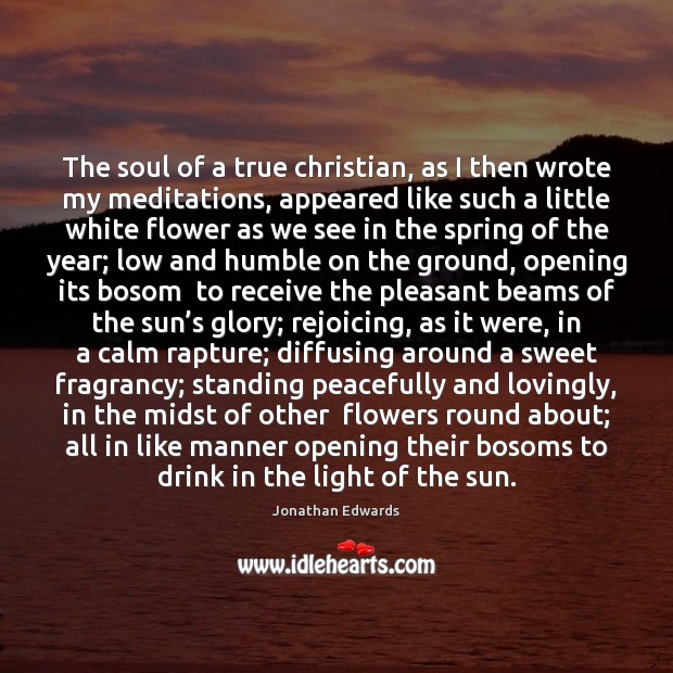 The soul of a true christian, as I then wrote my meditations, Image