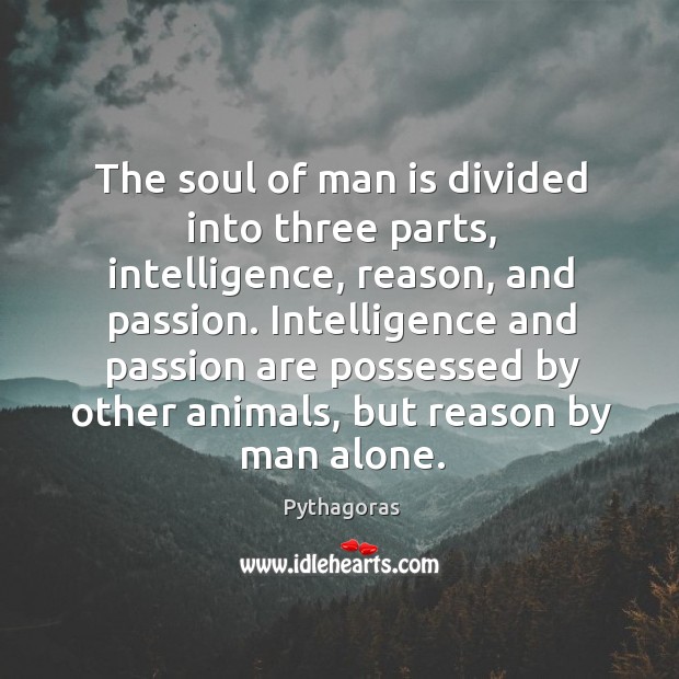 The soul of man is divided into three parts, intelligence, reason, and Pythagoras Picture Quote