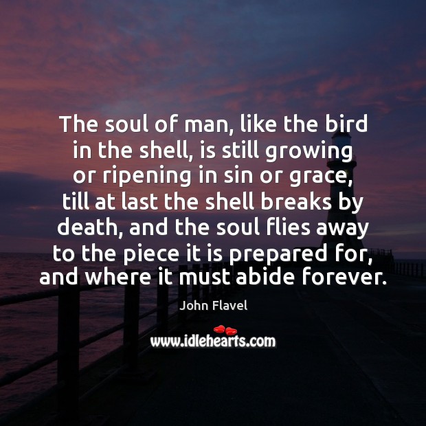 The soul of man, like the bird in the shell, is still John Flavel Picture Quote