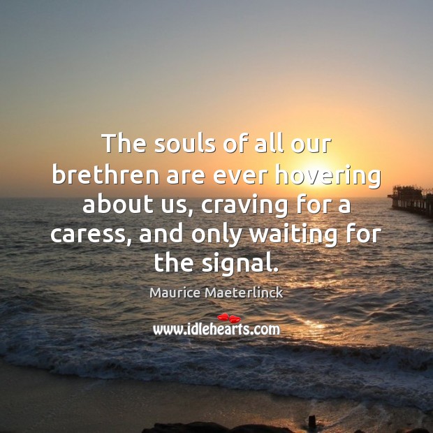 The souls of all our brethren are ever hovering about us, craving Maurice Maeterlinck Picture Quote
